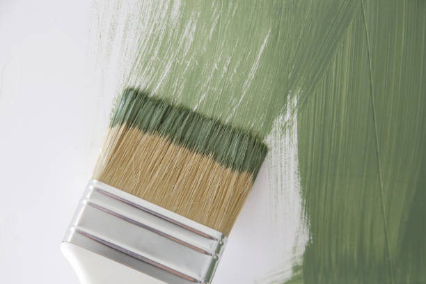 Best Mold Documentation for Insurance Claims  in Grafton, OH