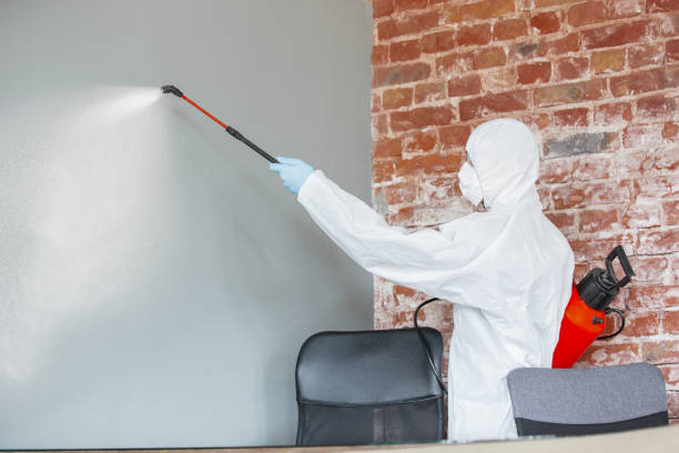Best HVAC Mold Inspection and Cleaning  in Grafton, OH
