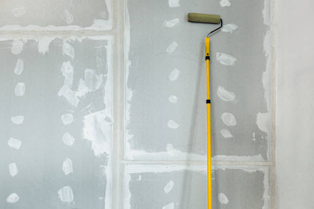 Best Mold Prevention Services  in Grafton, OH