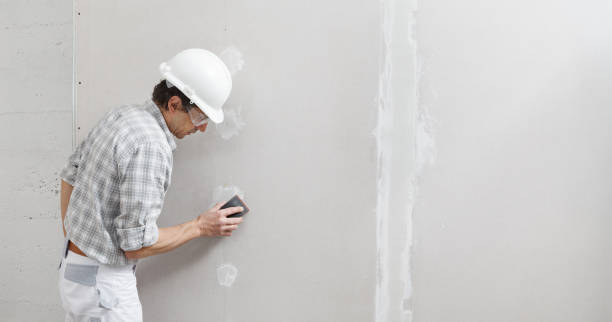 Best Mold Odor Removal Services  in Grafton, OH