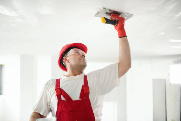 Best Post-Construction Mold Inspection  in Grafton, OH