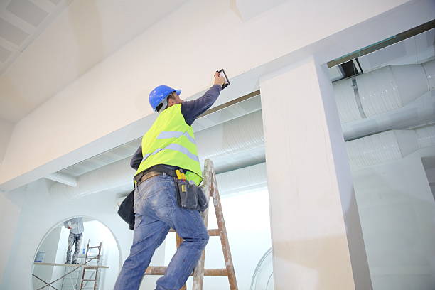 Best Basement Mold Removal  in Grafton, OH