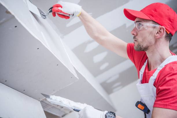 Best Environmental Consulting for Mold Prevention  in Grafton, OH