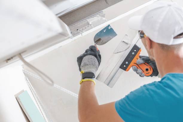  Grafton, OH Mold Removal Pros